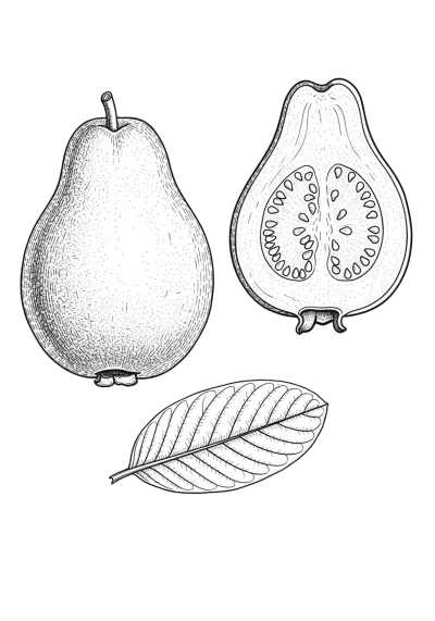 Imagen PNG para descargar